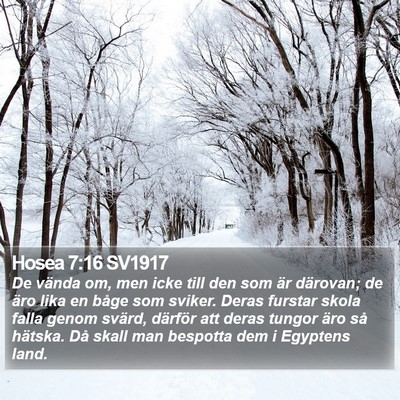 Hosea 7:16 SV1917 Bible Verse Image