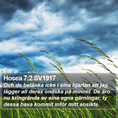Hosea 7:2 SV1917 Bible Verse Image
