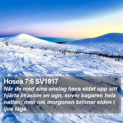 Hosea 7:6 SV1917 Bible Verse Image