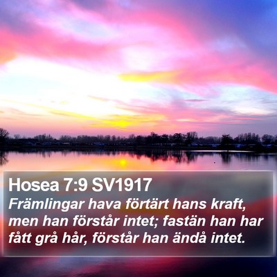Hosea 7:9 SV1917 Bible Verse Image