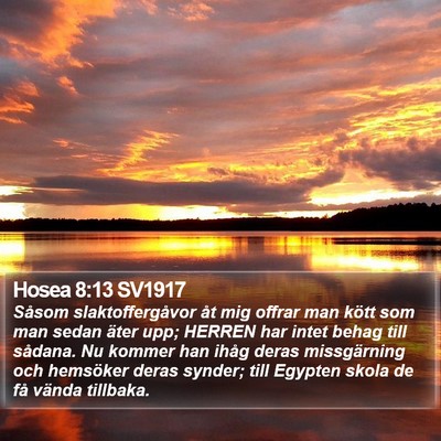 Hosea 8:13 SV1917 Bible Verse Image