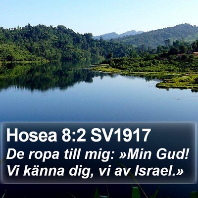 Hosea 8:2 SV1917 Bible Verse Image