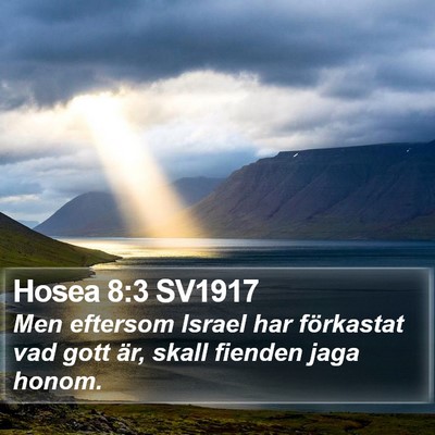 Hosea 8:3 SV1917 Bible Verse Image