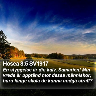 Hosea 8:5 SV1917 Bible Verse Image