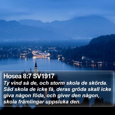 Hosea 8:7 SV1917 Bible Verse Image