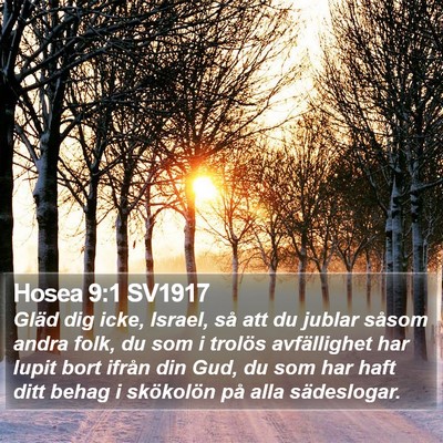 Hosea 9:1 SV1917 Bible Verse Image