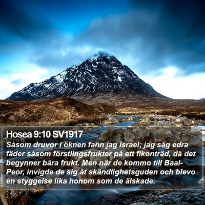 Hosea 9:10 SV1917 Bible Verse Image