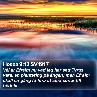 Hosea 9:13 SV1917 Bible Verse Image