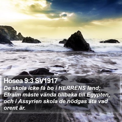 Hosea 9:3 SV1917 Bible Verse Image
