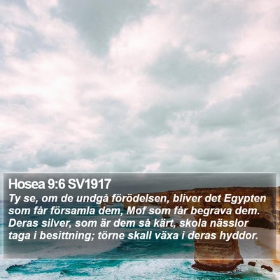 Hosea 9:6 SV1917 Bible Verse Image
