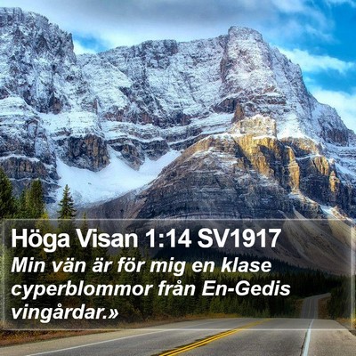 Höga Visan 1:14 SV1917 Bible Verse Image