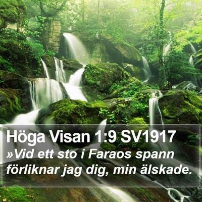 Höga Visan 1:9 SV1917 Bible Verse Image
