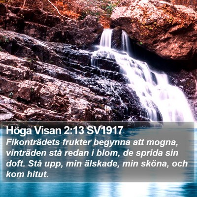 Höga Visan 2:13 SV1917 Bible Verse Image