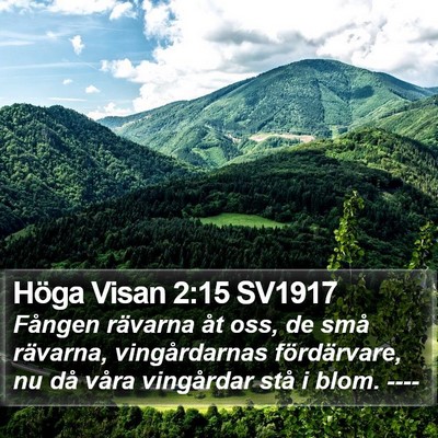 Höga Visan 2:15 SV1917 Bible Verse Image