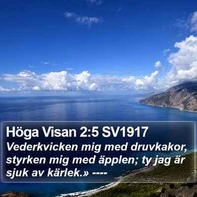 Höga Visan 2:5 SV1917 Bible Verse Image