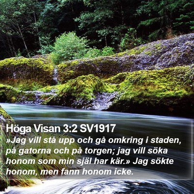 Höga Visan 3:2 SV1917 Bible Verse Image