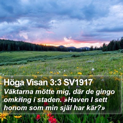 Höga Visan 3:3 SV1917 Bible Verse Image