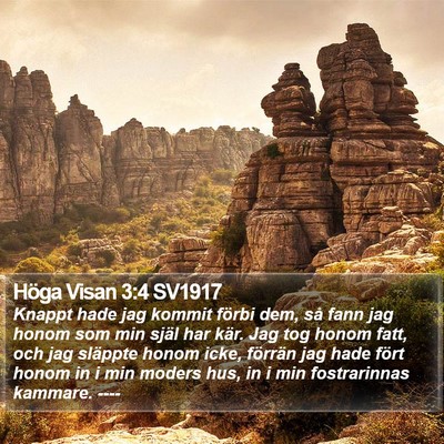 Höga Visan 3:4 SV1917 Bible Verse Image
