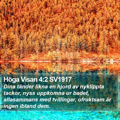Höga Visan 4:2 SV1917 Bible Verse Image