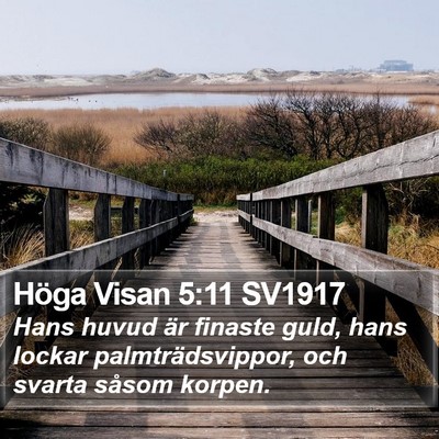 Höga Visan 5:11 SV1917 Bible Verse Image