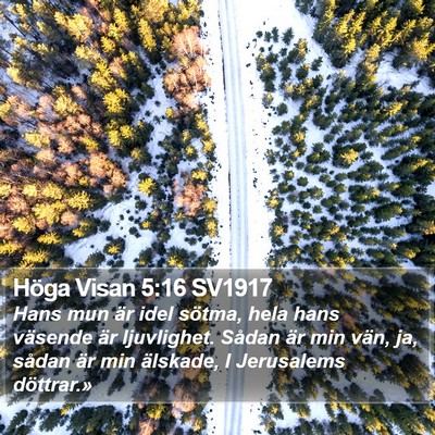 Höga Visan 5:16 SV1917 Bible Verse Image
