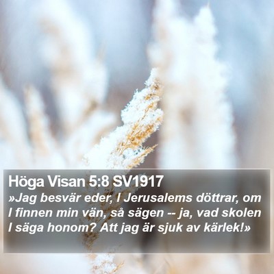 Höga Visan 5:8 SV1917 Bible Verse Image