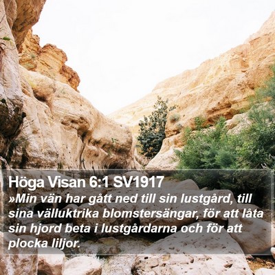 Höga Visan 6:1 SV1917 Bible Verse Image