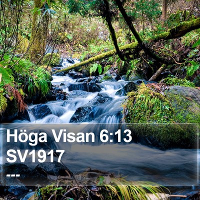 Höga Visan 6:13 SV1917 Bible Verse Image