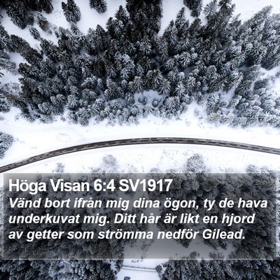 Höga Visan 6:4 SV1917 Bible Verse Image