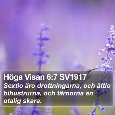 Höga Visan 6:7 SV1917 Bible Verse Image