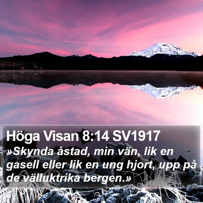 Höga Visan 8:14 SV1917 Bible Verse Image
