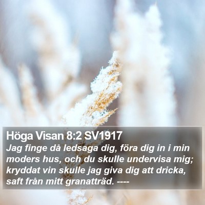 Höga Visan 8:2 SV1917 Bible Verse Image