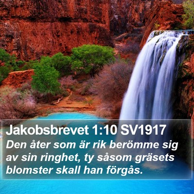 Jakobsbrevet 1:10 SV1917 Bible Verse Image