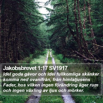 Jakobsbrevet 1:17 SV1917 Bible Verse Image