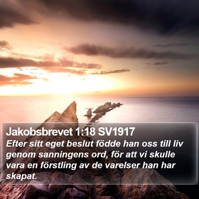 Jakobsbrevet 1:18 SV1917 Bible Verse Image