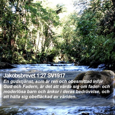 Jakobsbrevet 1:27 SV1917 Bible Verse Image