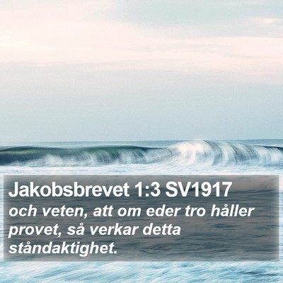 Jakobsbrevet 1:3 SV1917 Bible Verse Image