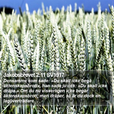 Jakobsbrevet 2:11 SV1917 Bible Verse Image
