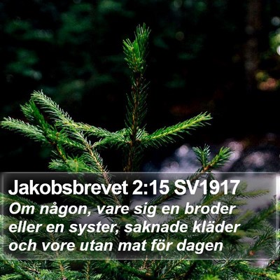 Jakobsbrevet 2:15 SV1917 Bible Verse Image