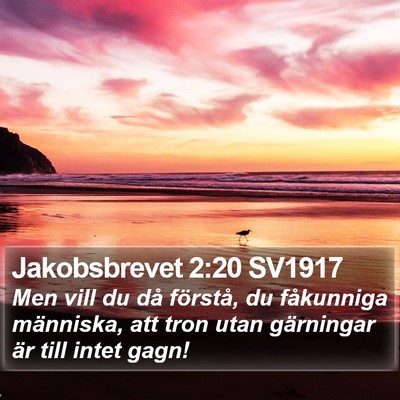 Jakobsbrevet 2:20 SV1917 Bible Verse Image