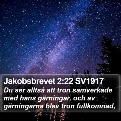 Jakobsbrevet 2:22 SV1917 Bible Verse Image
