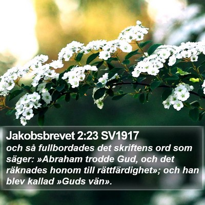 Jakobsbrevet 2:23 SV1917 Bible Verse Image