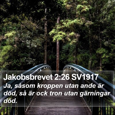 Jakobsbrevet 2:26 SV1917 Bible Verse Image