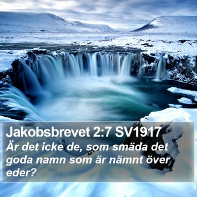 Jakobsbrevet 2:7 SV1917 Bible Verse Image