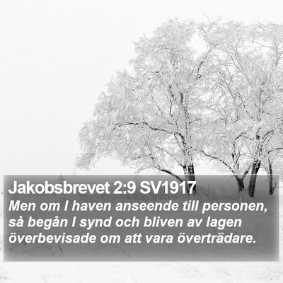 Jakobsbrevet 2:9 SV1917 Bible Verse Image