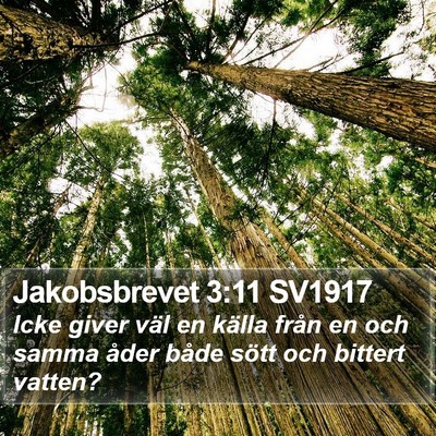 Jakobsbrevet 3:11 SV1917 Bible Verse Image