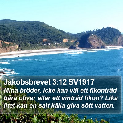 Jakobsbrevet 3:12 SV1917 Bible Verse Image