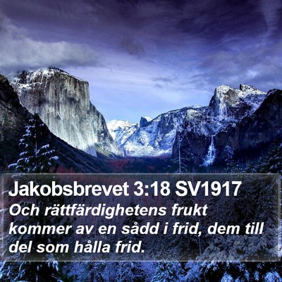Jakobsbrevet 3:18 SV1917 Bible Verse Image