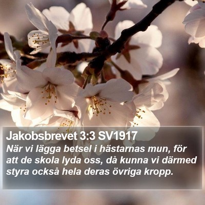 Jakobsbrevet 3:3 SV1917 Bible Verse Image