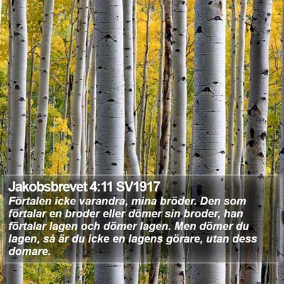 Jakobsbrevet 4:11 SV1917 Bible Verse Image